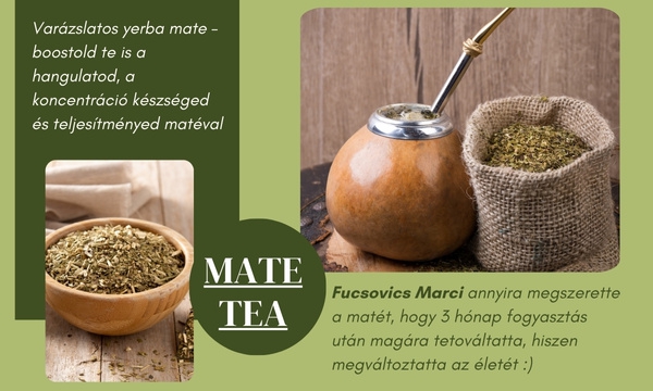 A déli félteke energiaitala: a yerba mate tea varázslatos világa