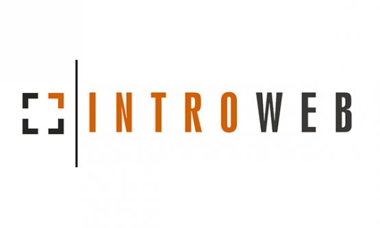 Introweb Kft.