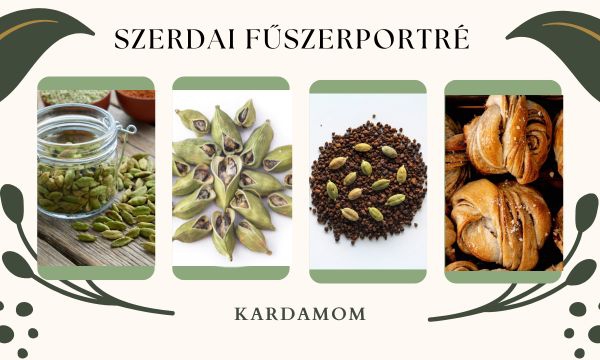 Szerdai Fűszerportré - Kardamom