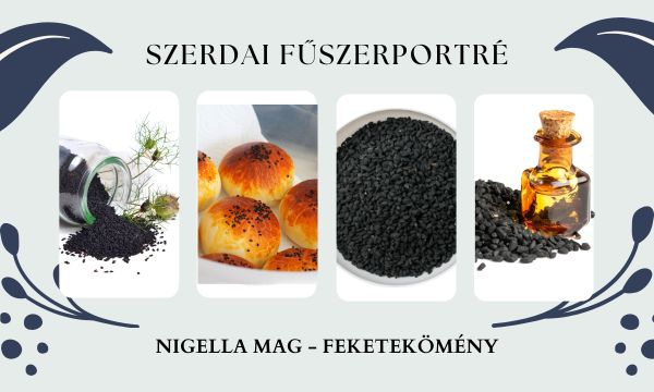 Szerdai Fűszerportré - Nigella